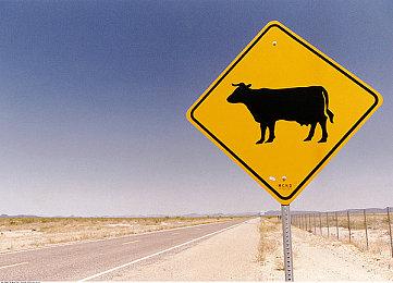 《壁中精灵》将于5月25日登陆国行PlayStation 4平台，建议零售价人民币178元